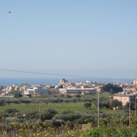 Visita canonica Febbraio 2011